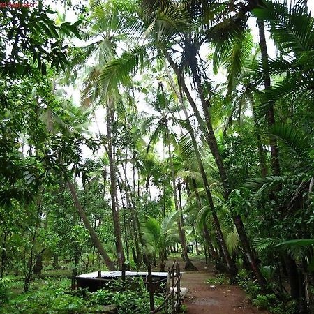 Dāpoli Saaj Resort المظهر الخارجي الصورة