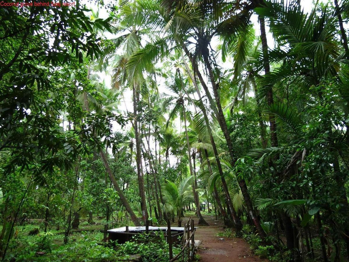 Dāpoli Saaj Resort المظهر الخارجي الصورة